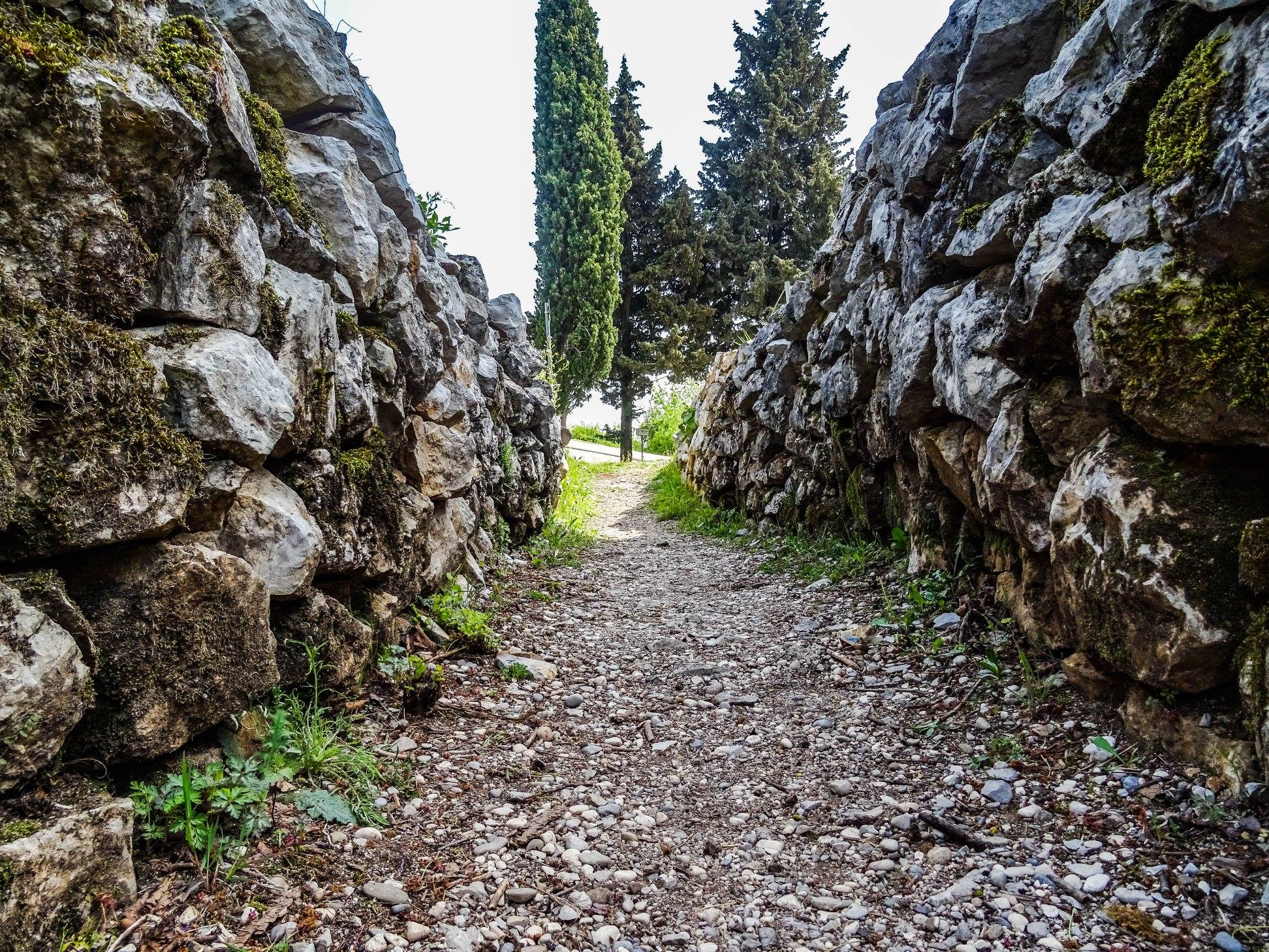 Immagine per Sagrado, riprendono gli incontri per raccontare il Monte San Michele tra storia, memoria e innovazione